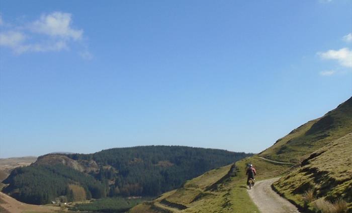 Hillside road
